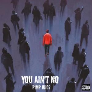 Pimp Juice的專輯YOU AIN’T NO (Explicit)
