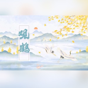 Album 观鹤 from 悠闲xx