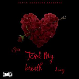 PlutoExtracts的專輯You Took my Breath Away