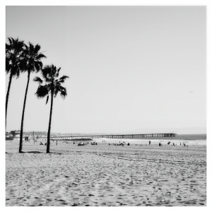 收聽The Band CAMINO的My Thoughts On You歌詞歌曲