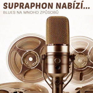 Listen to Rekomando blues (Nevyplacený blues) song with lyrics from Jiri Suchy