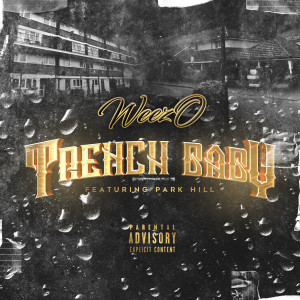Listen to Trench Baby (Explicit) song with lyrics from Weezo