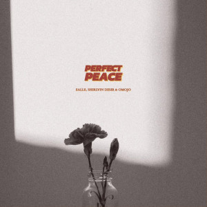 Ealle的專輯Perfect Peace