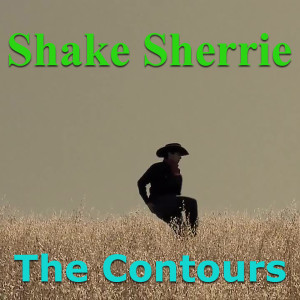 The Countours的專輯Shake Sherrie