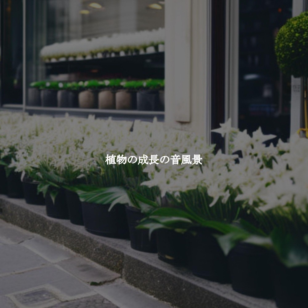 Grand Ambiance for Daily Cleanse