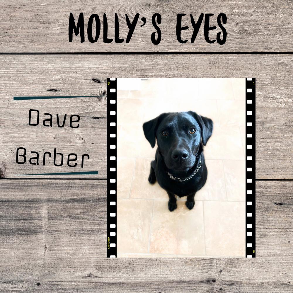 Molly's Eyes