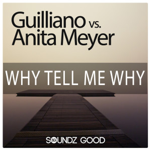 Album Why Tell Me Why from Anita Meyer