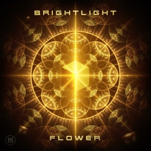 ดาวน์โหลดและฟังเพลง Flower พร้อมเนื้อเพลงจาก Brightlight