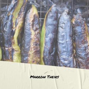 Album Marrow Theirs oleh Various