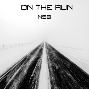 Listen to On the Run (Explicit) song with lyrics from NSB