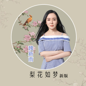 收聽魏新雨的梨花如夢（新版） (新版)歌詞歌曲