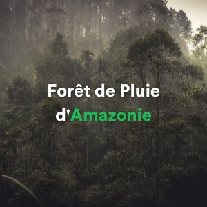 Loopable Atmospheres的专辑Forêt de pluie d'Amazonie