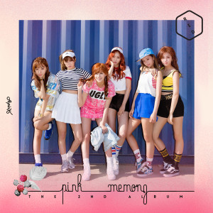 Album Pink MEMORY from Apink (에이핑크)