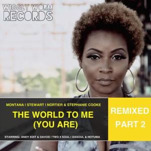 Album The World to Me (You Are) [Remixed, Pt. 2] from Stephanie Cooke