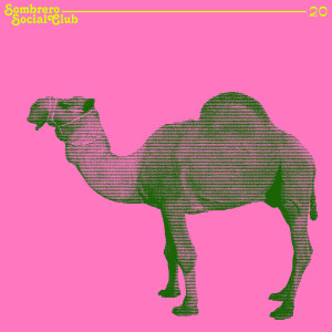 D'Arabia的專輯Sombrero Social Club 20