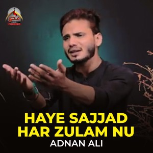 ดาวน์โหลดและฟังเพลง Haye Sajjad Har Zulam Nu พร้อมเนื้อเพลงจาก Adnan Ali