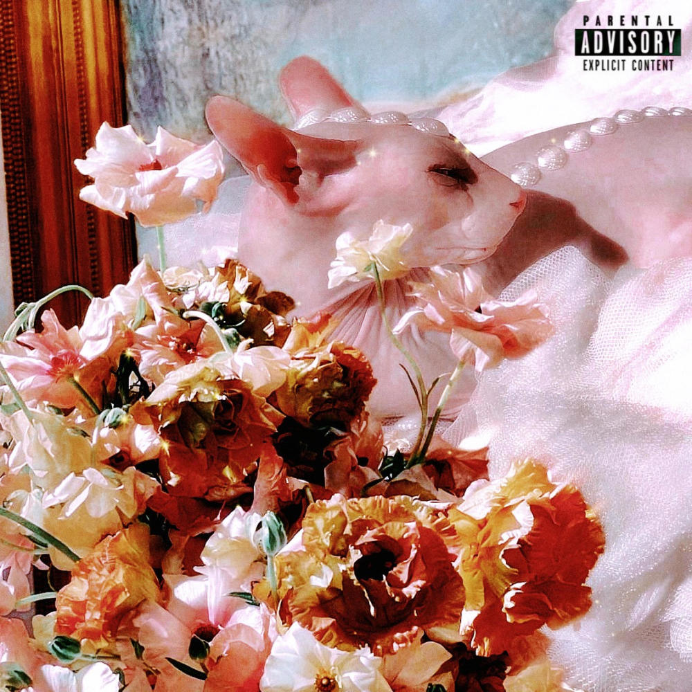 THE FIX (Explicit)