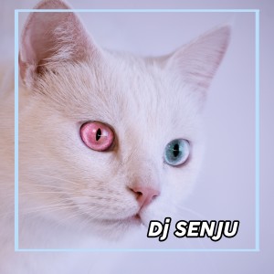 Dengarkan lagu Dj Thailand NO COMMENT nyanyian Dj SENJU dengan lirik