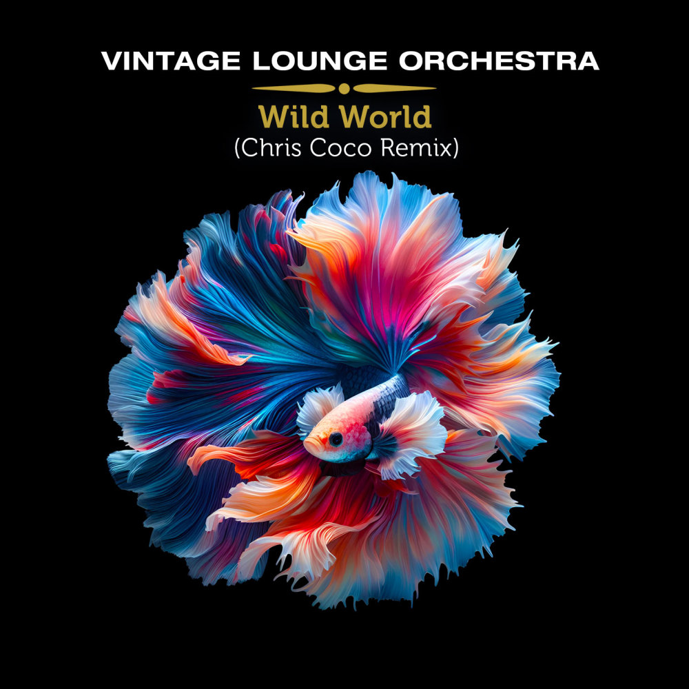 Wild World (Chris Coco Memory Dub Remix)