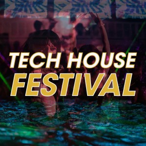 Dengarkan lagu Amount (Tech No Logic Mix) nyanyian Petimat Vedzizhev dengan lirik