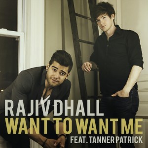 ดาวน์โหลดและฟังเพลง Want to Want Me พร้อมเนื้อเพลงจาก Rajiv Dhall