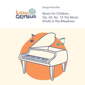 Listen to Music for Children, Op. 65: No. 12 The Moon Strolls in the Meadows song with lyrics from Little Genius