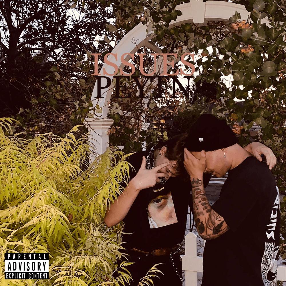 Issues (Explicit)