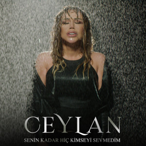 Listen to Senin Kadar Hiç Kimseyi Sevmedim song with lyrics from Ceylan