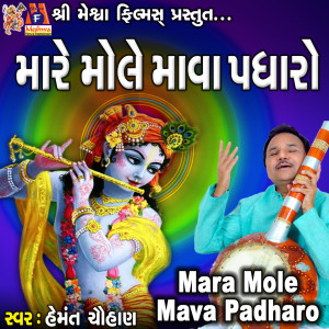 Listen to Mara Mole Mava Padharo song with lyrics from Hemant Chauhan