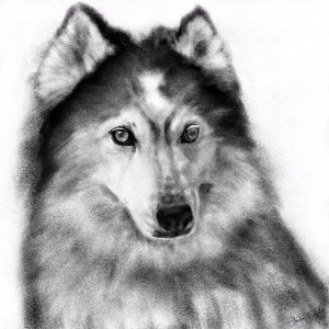 Listen to Nancy song with lyrics from Malamute