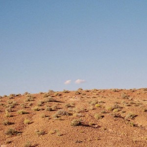 Album Beyond The Pines from Sad Moses