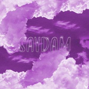 收聽Yung Fed的SAYDAM (Explicit)歌詞歌曲