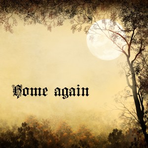 Torine的專輯Home Again