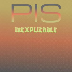 Album Pis Inexplicable oleh Various