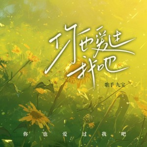 Album 你也爱过我吧 from 九宝Zerone