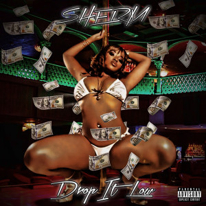 Listen to Drop It Low (Explicit) song with lyrics from Sherm