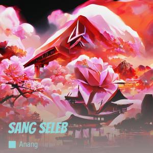 收聽Anang的Sang Seleb (Acoustic)歌詞歌曲