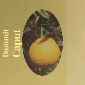 收听Agua Fene的Camry Drive歌词歌曲