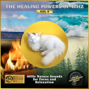 Yuval Ron的專輯The Healing Powers of 40Hz Vol 6: 40Hz Nature Sounds for Focus and Relaxation