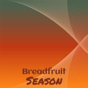 收听Herb Ward的Honest To Goodness歌词歌曲