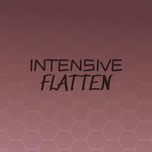 Various Artists的专辑Intensive Flatten