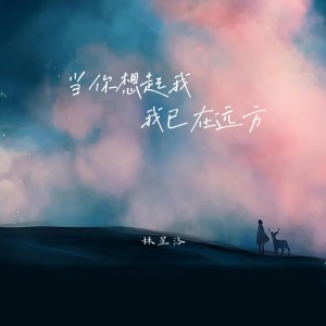 Album 当你想起我 我已在远方 from 林星洛
