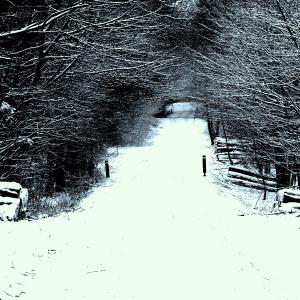 收聽The Suits的Forgiveness for X-Mas歌詞歌曲