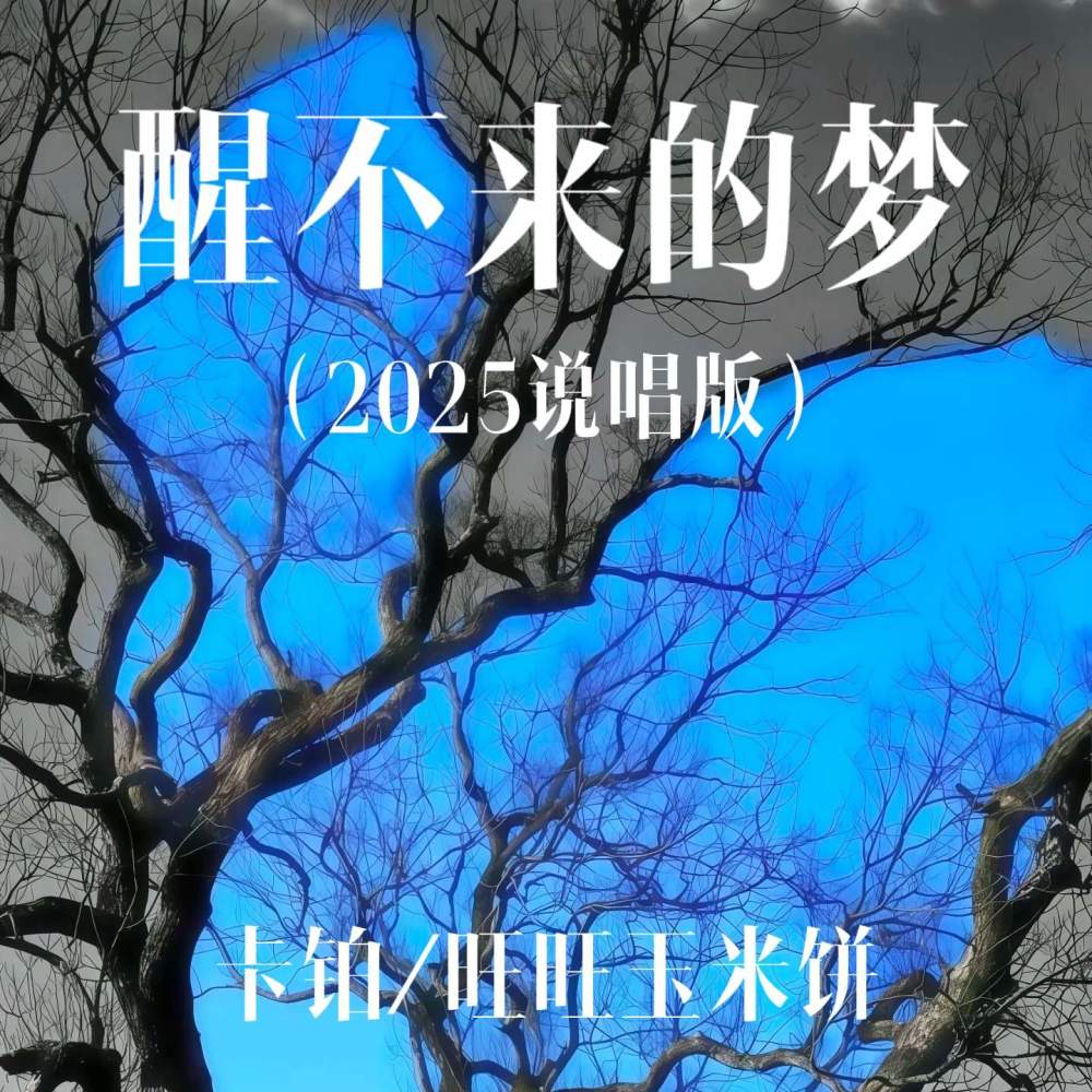 醒不来的梦 (2025说唱版)