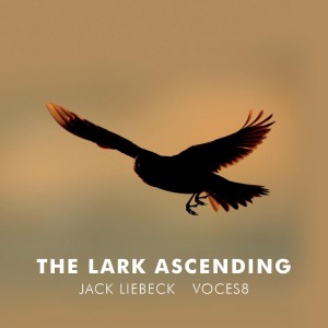 Jack Liebeck的專輯The Lark Ascending (Arr. for violin and choir by Paul Drayton)