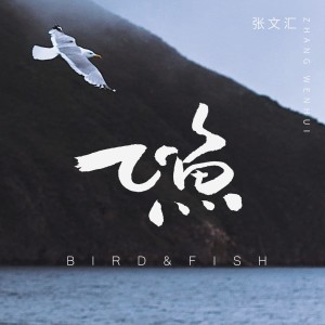 Album 飞鱼 from 张文汇