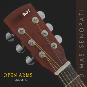Jonathan Cain的專輯Open Arms (Acoustic)