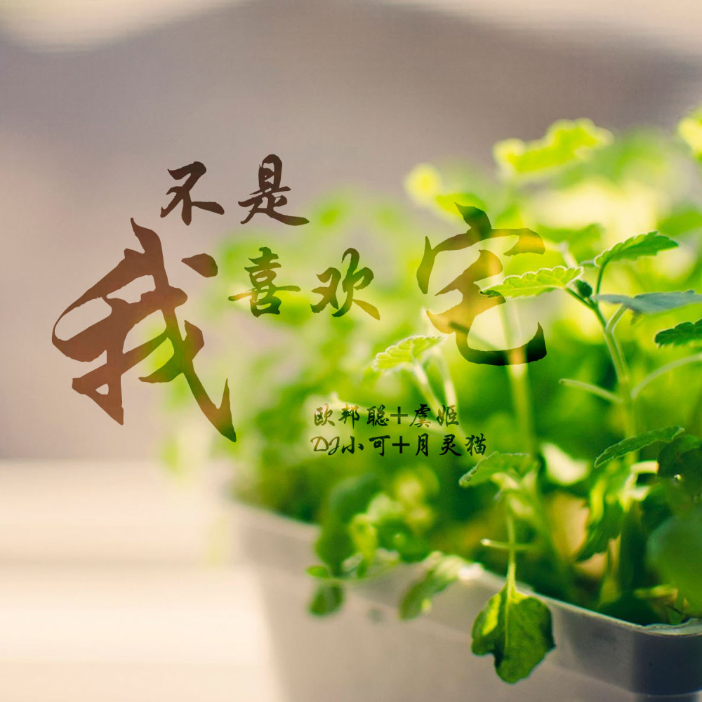 我在你来过的城市里 (原版)