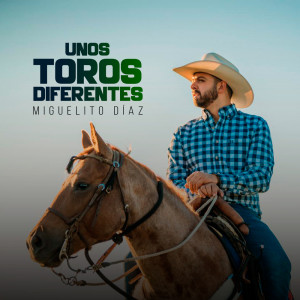 Listen to Unos Toros Diferentes song with lyrics from Miguelito Díaz