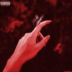 Listen to Butterflies (feat. MATWW OFFICIAL) (Explicit) song with lyrics from Evade Productions